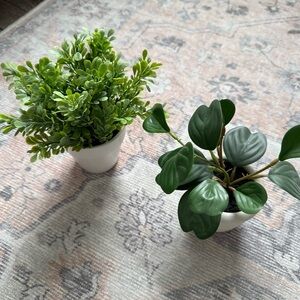 Threshold Set of 2 Mini Faux Plants